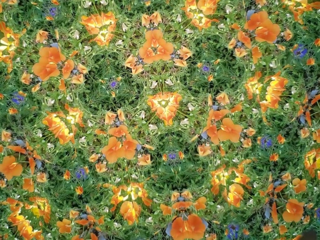 Kaleidoscope Notes