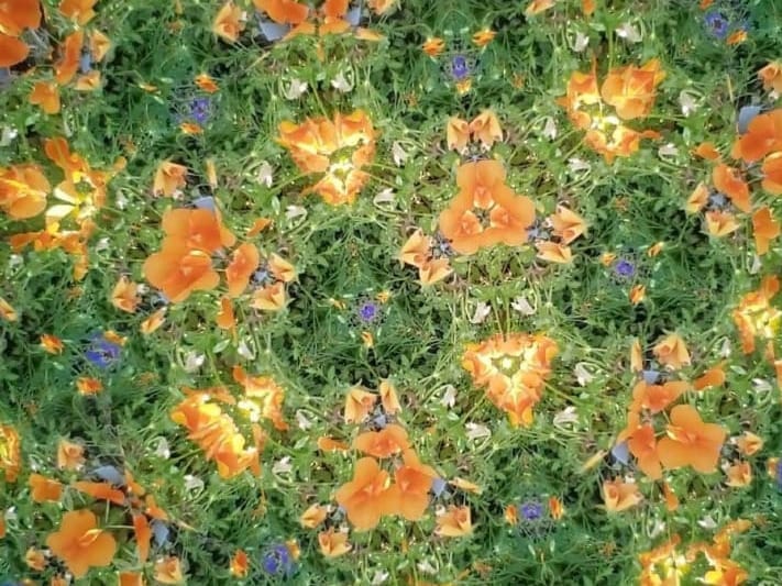 Kaleidoscope Notes